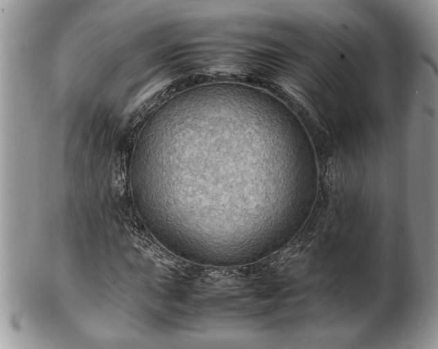 X0000101221015200807071342