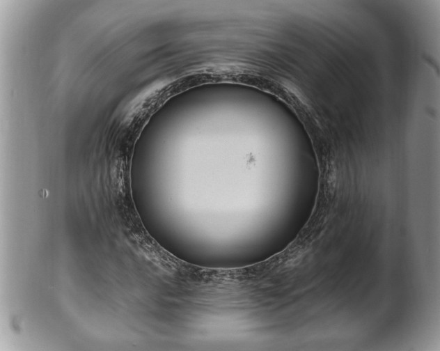 X0000101221016200807071342