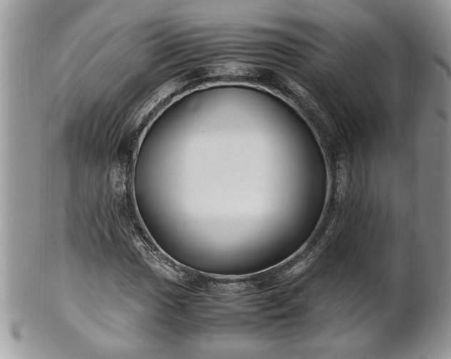 X0000101221017200807071342