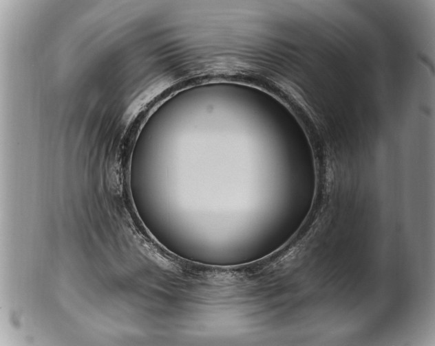 X0000101221018200807071342