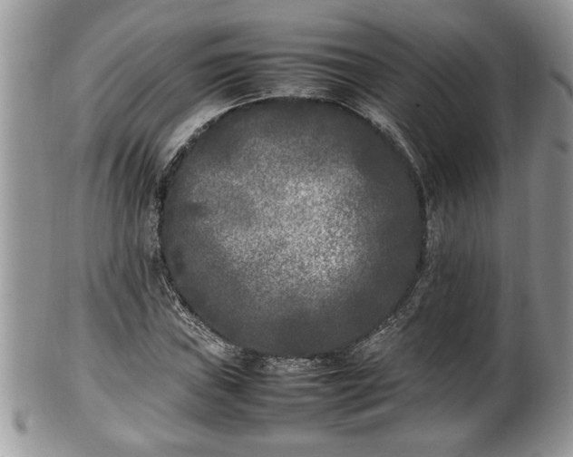 X0000101221019200807071342