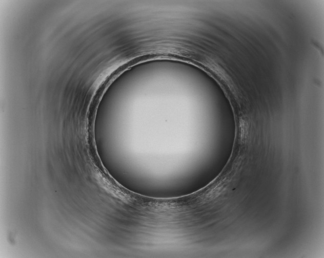 X0000101221020200807071342