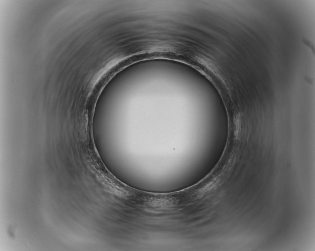 X0000101221021200807071343