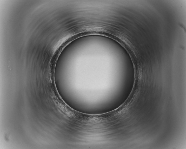 X0000101221022200807071343