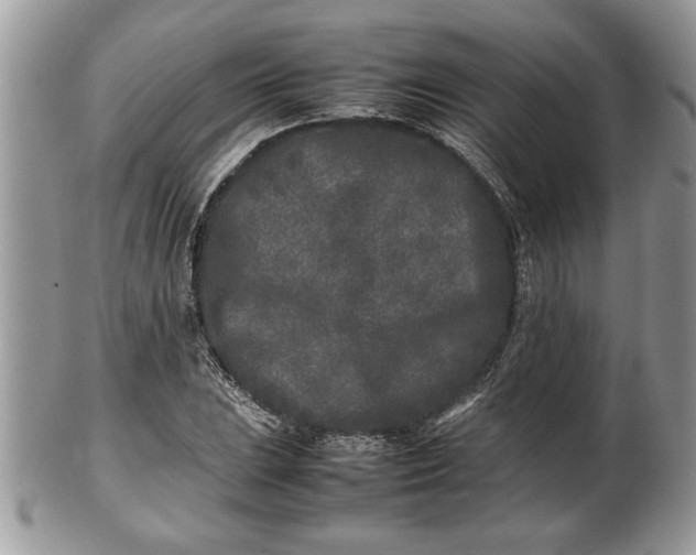 X0000101221023200807071343