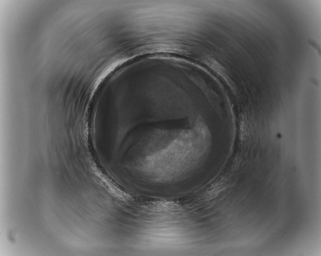 X0000101221024200807071343