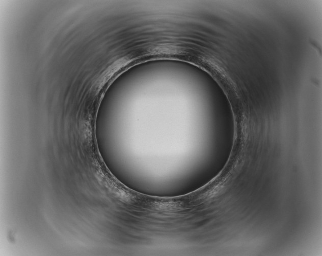 X0000101221025200807071343