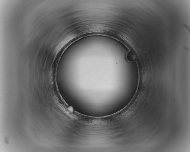 X0000101221026200807071343