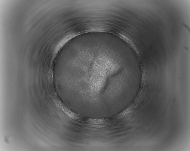 X0000101221027200807071343
