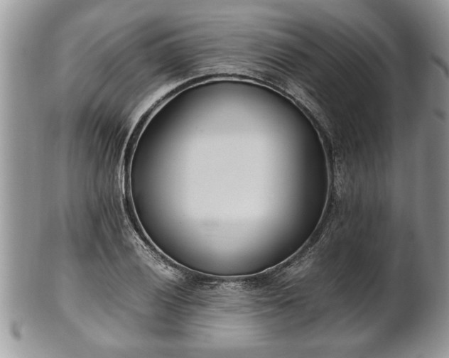 X0000101221028200807071343