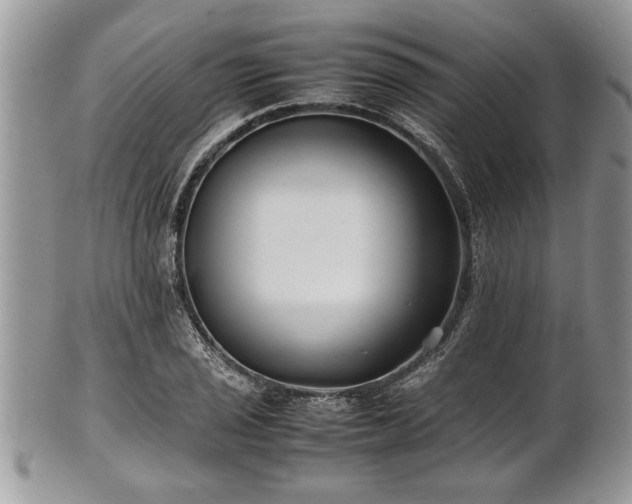 X0000101221029200807071343