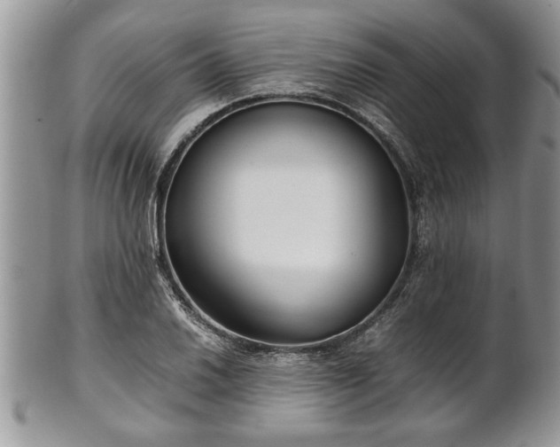 X0000101221030200807071343