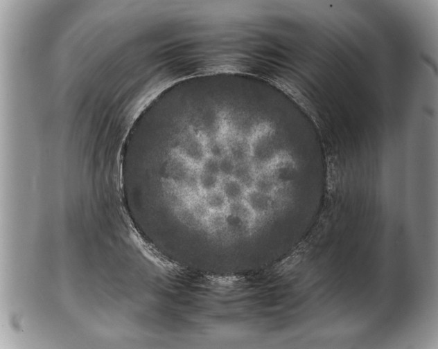 X0000101221031200807071343
