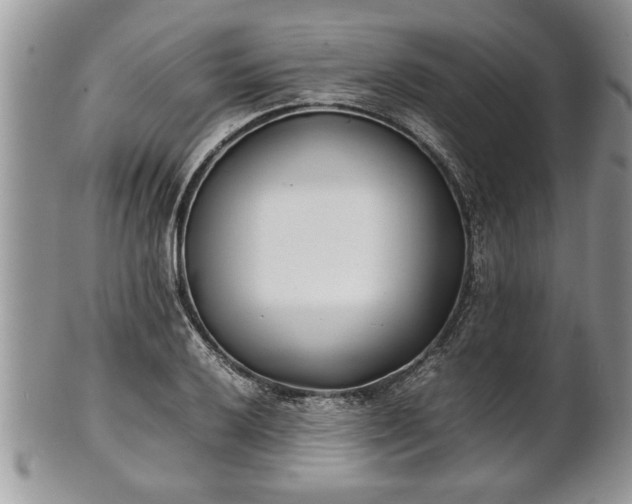 X0000101221032200807071343