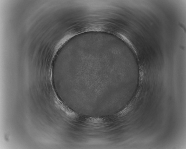 X0000101221035200807071343