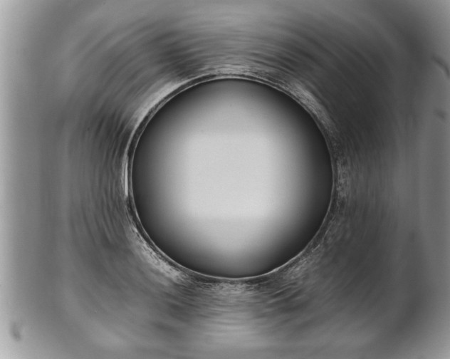 X0000101221036200807071343