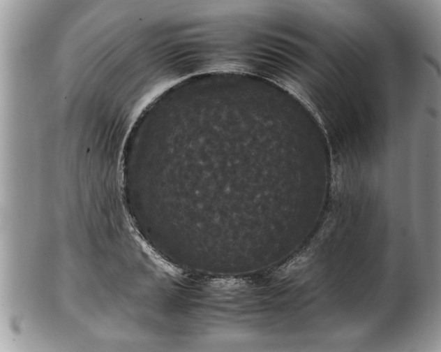 X0000101221037200807071343