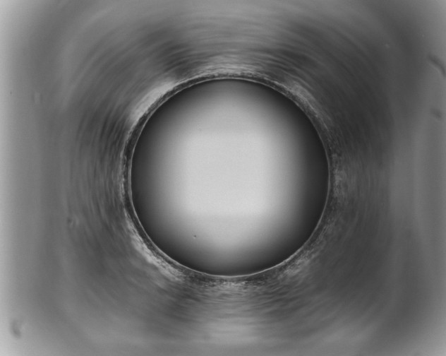 X0000101221038200807071343