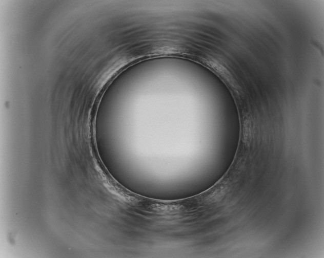 X0000101221039200807071343