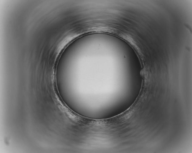 X0000101221040200807071343