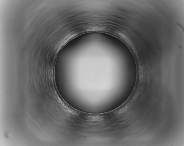 X0000101221041200807071343