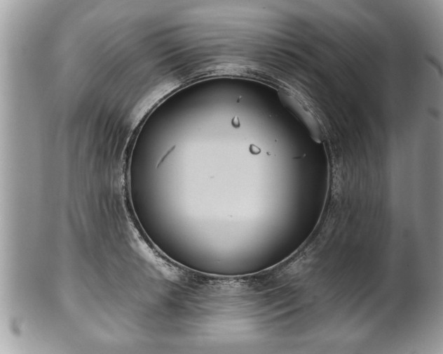 X0000101221042200807071343