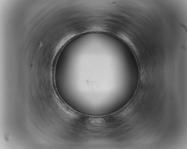 X0000101221043200807071343