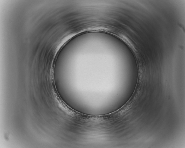X0000101221044200807071343
