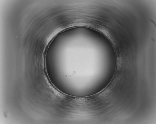 X0000101221046200807071343
