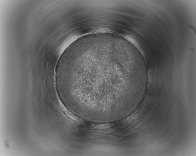 X0000101221047200807071343