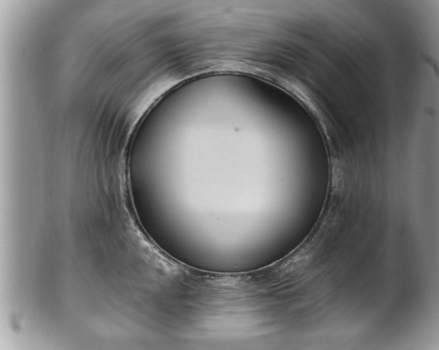 X0000101221048200807071343