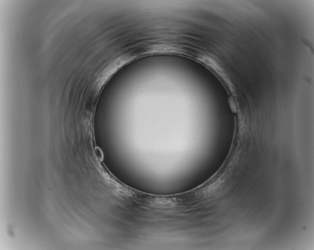 X0000101221049200807071343