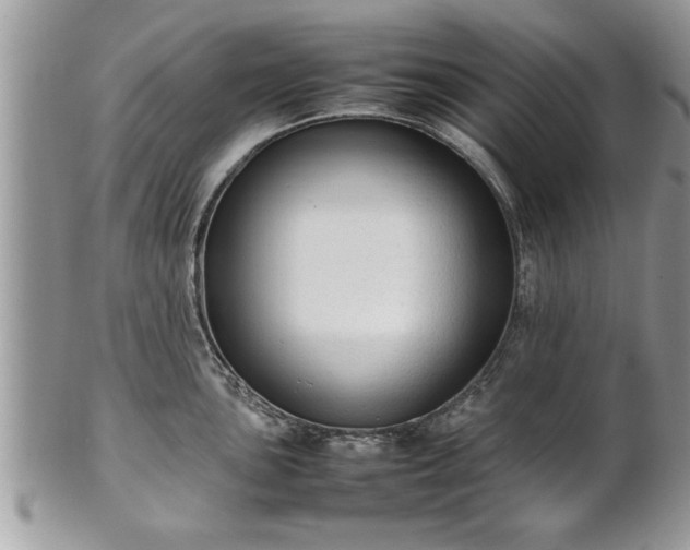X0000101221051200807071343