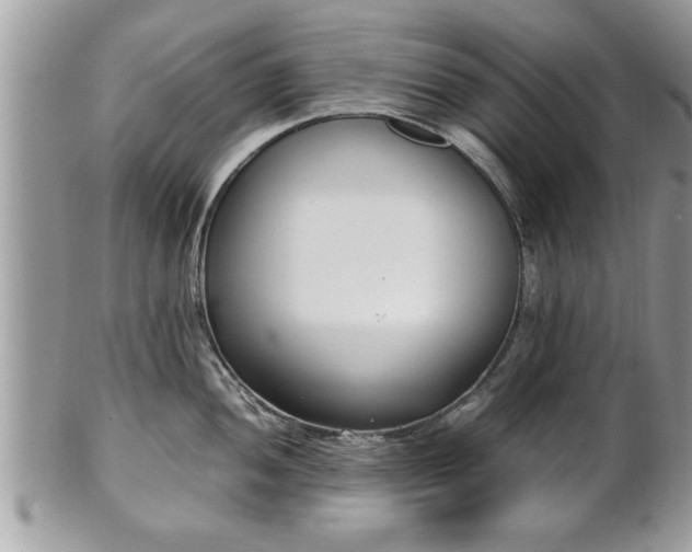 X0000101221052200807071343