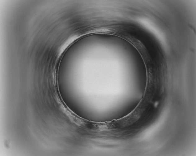 X0000101221054200807071343