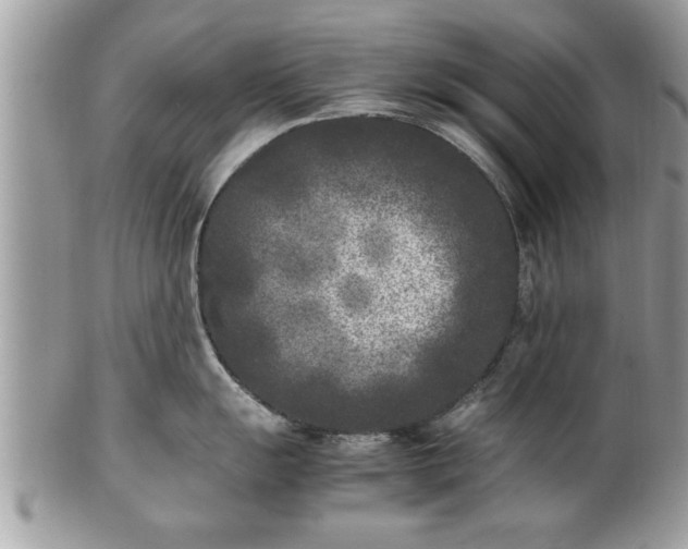 X0000101221055200807071343