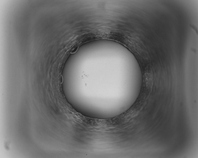 X0000101221057200807071342