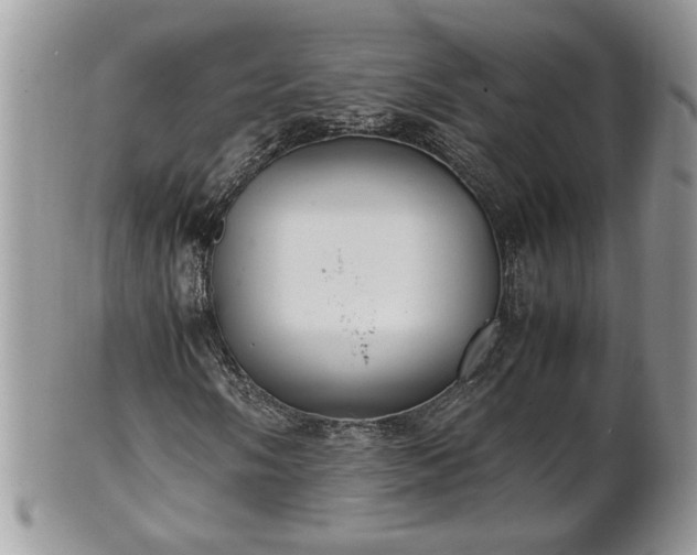 X0000101221058200807071342