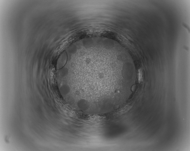 X0000101221059200807071342