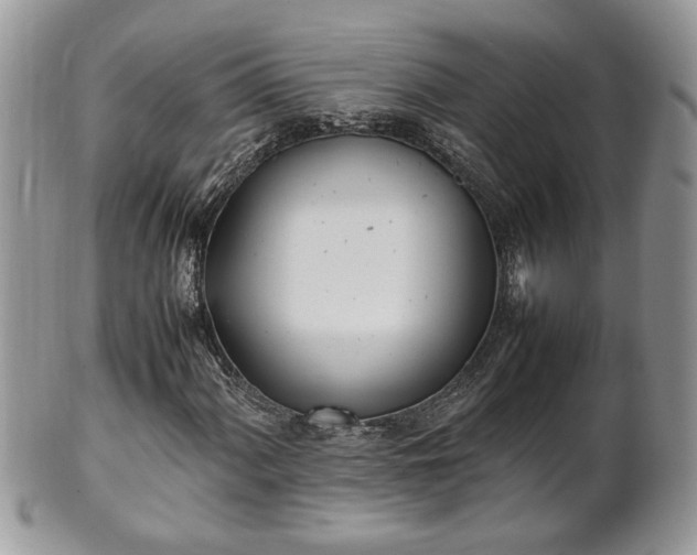 X0000101221060200807071342