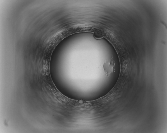 X0000101221062200807071342