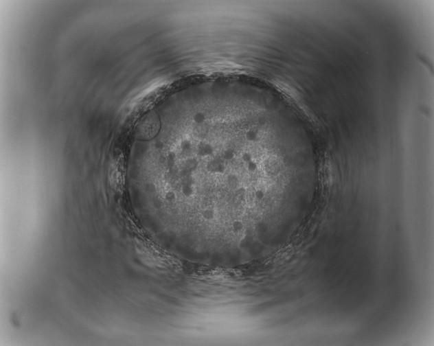 X0000101221063200807071342