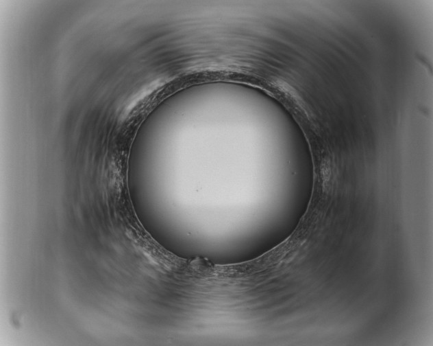X0000101221064200807071342