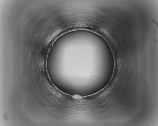 X0000101221065200807071342