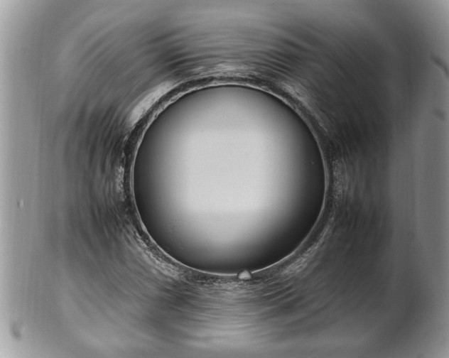 X0000101221066200807071342