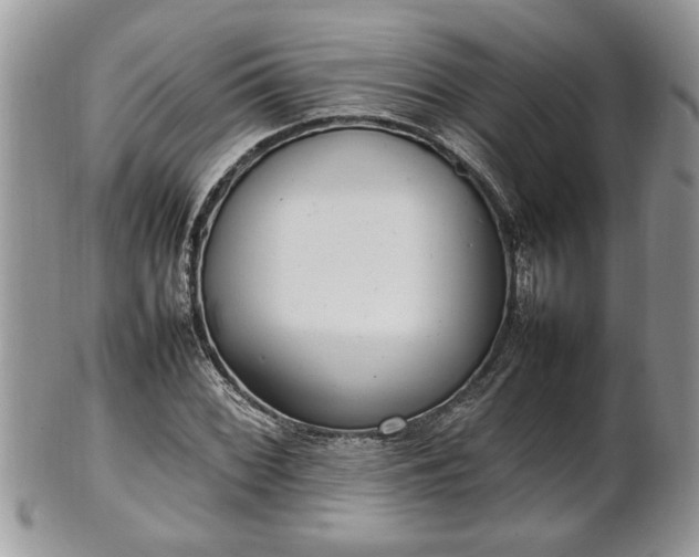 X0000101221068200807071342