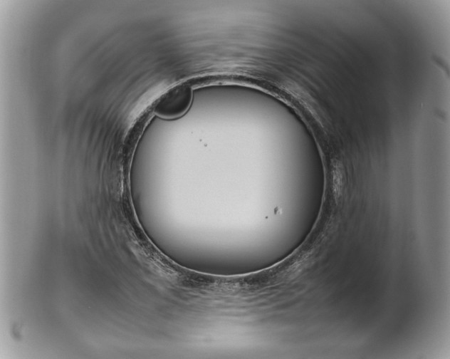 X0000101221069200807071342
