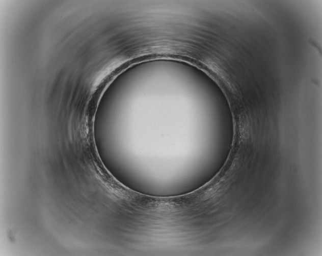 X0000101221070200807071342