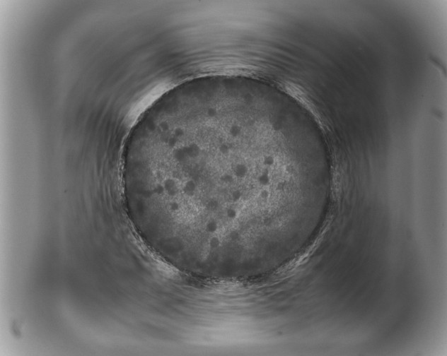 X0000101221071200807071342