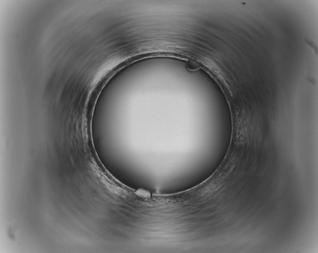 X0000101221072200807071342
